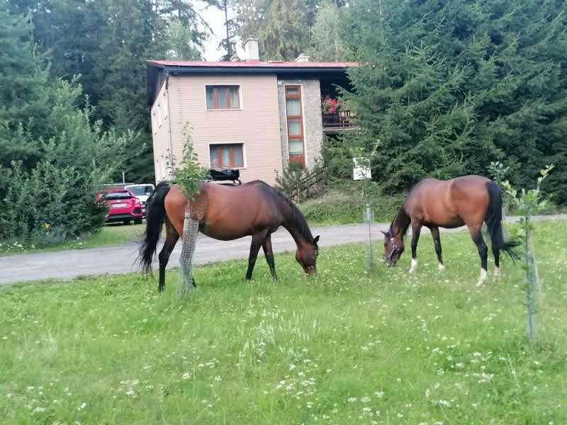 Horska Chata Ziaranka Липтовски-Микулаш Экстерьер фото